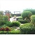 Feng Shui Oriental Garden