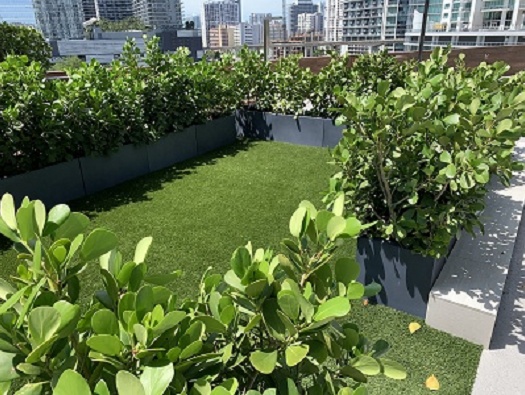 Secret Garden Secret Garden